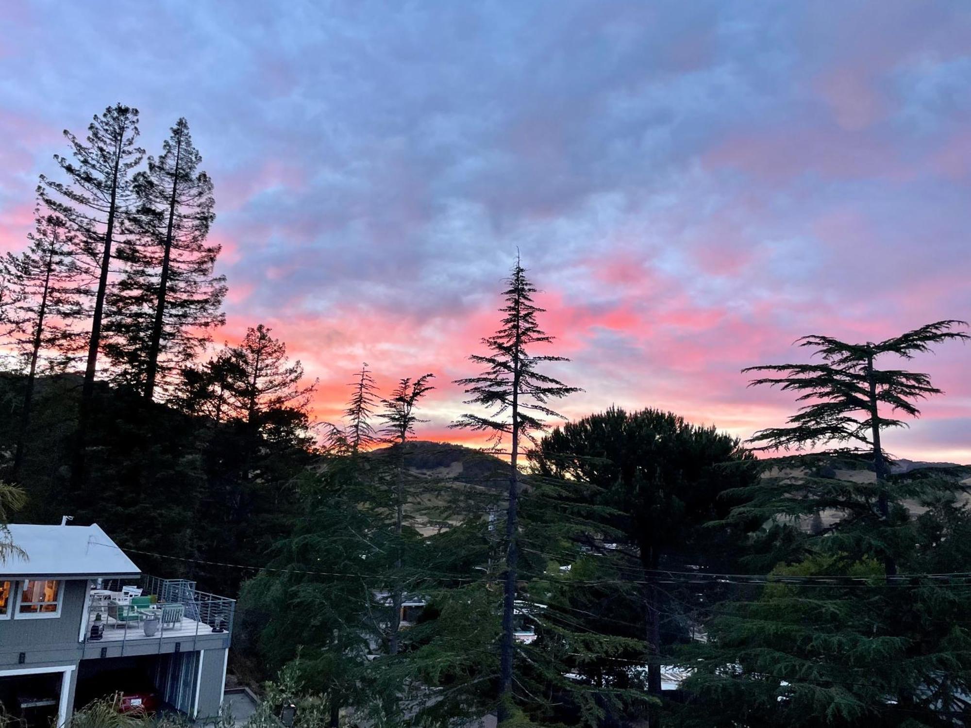 Luxury Suite With Views - San Rafael, Gateway To Sf & Wine Country Eksteriør billede