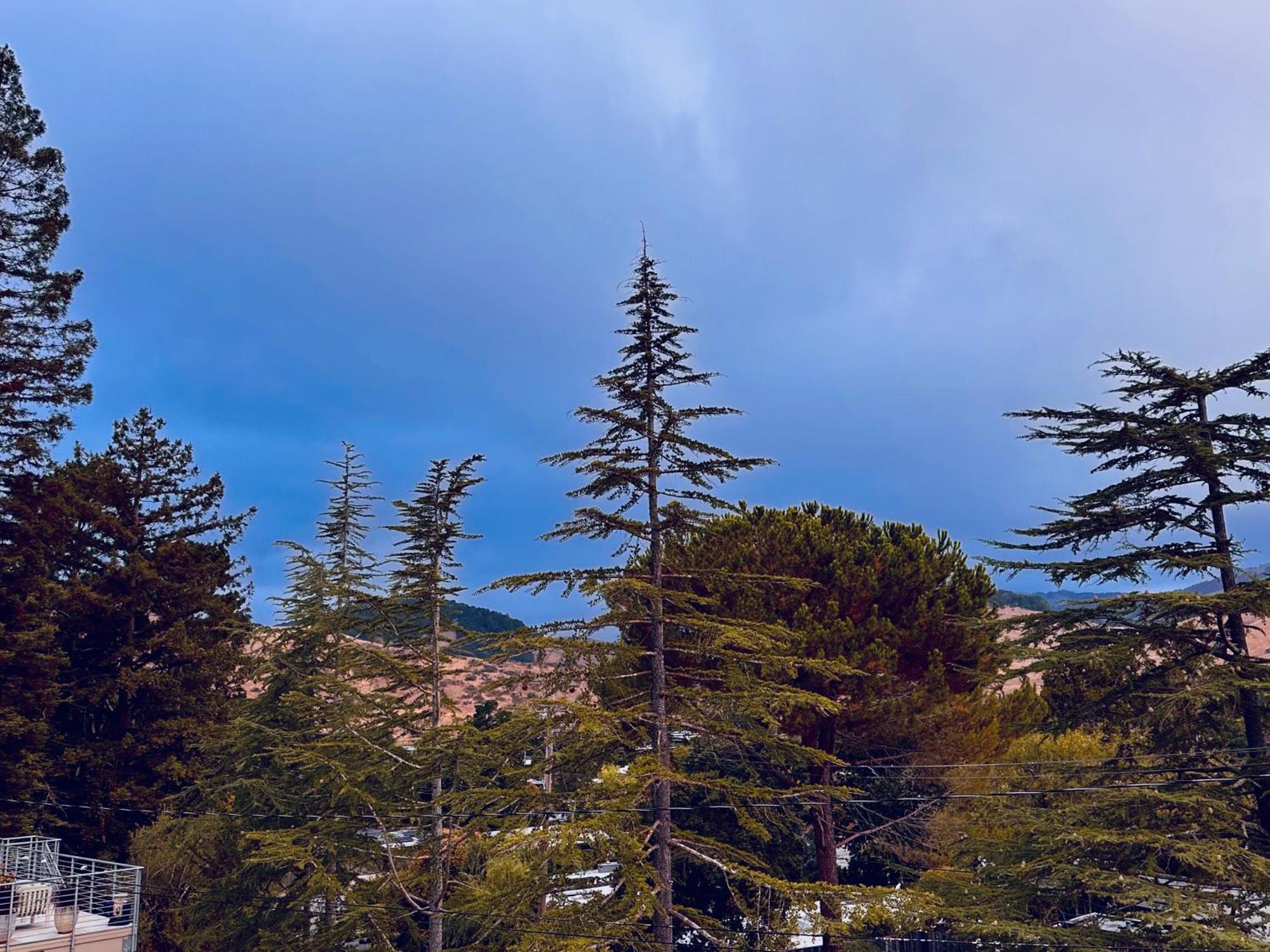 Luxury Suite With Views - San Rafael, Gateway To Sf & Wine Country Eksteriør billede